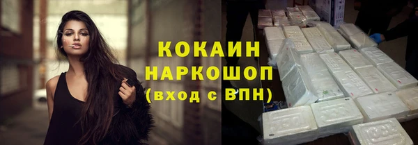 гашик Гусев